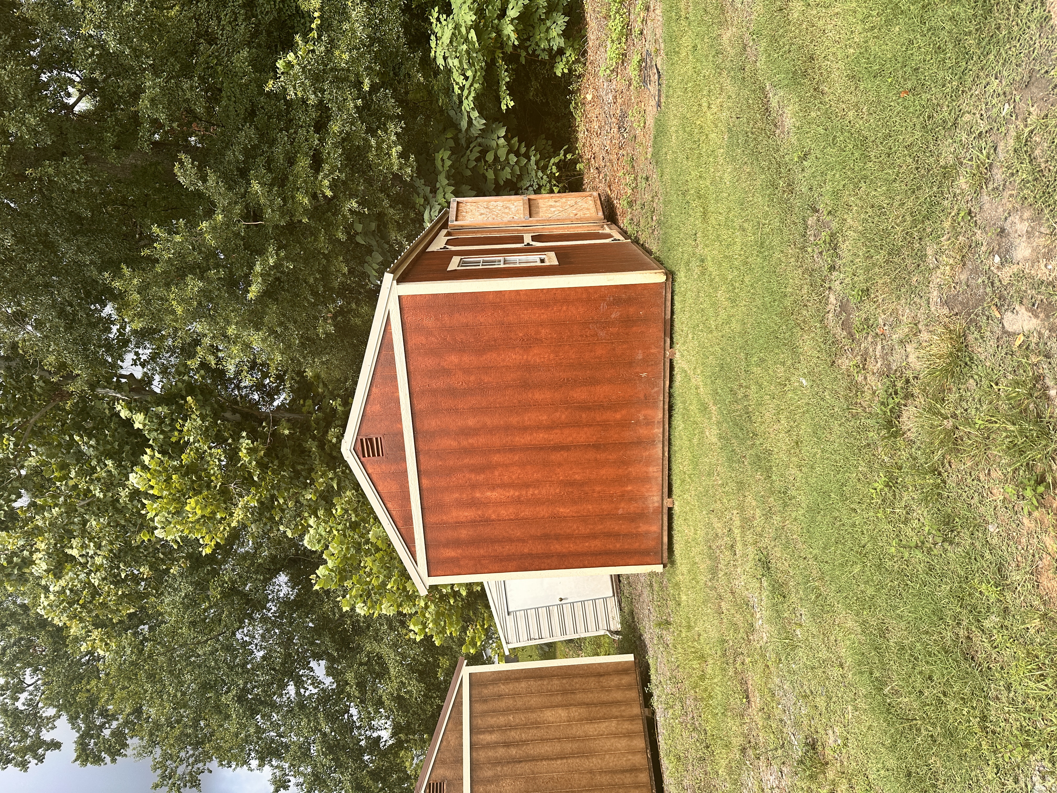 View 4