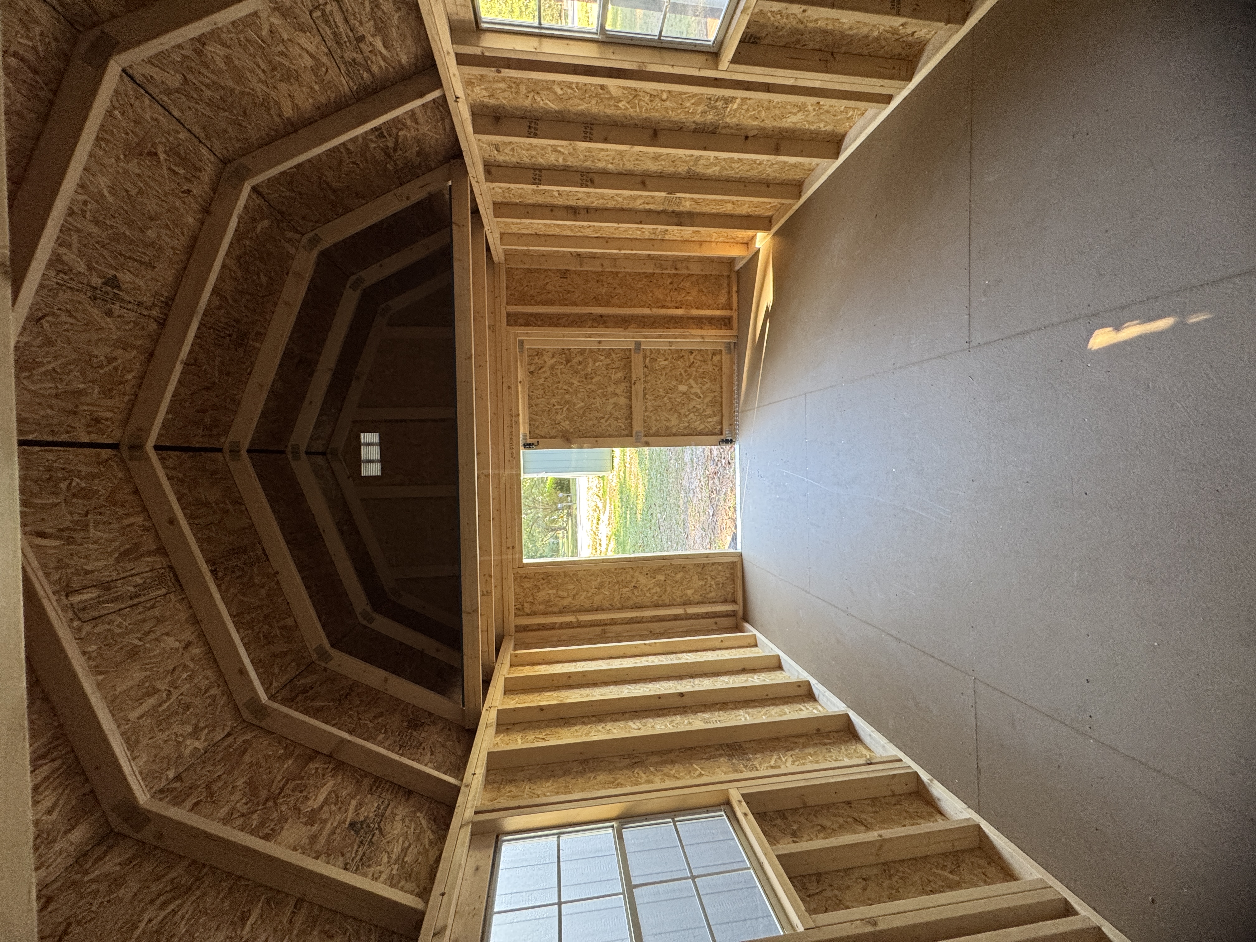 10x16 Lofted Barn for sale near Dillon, SC - photo 5